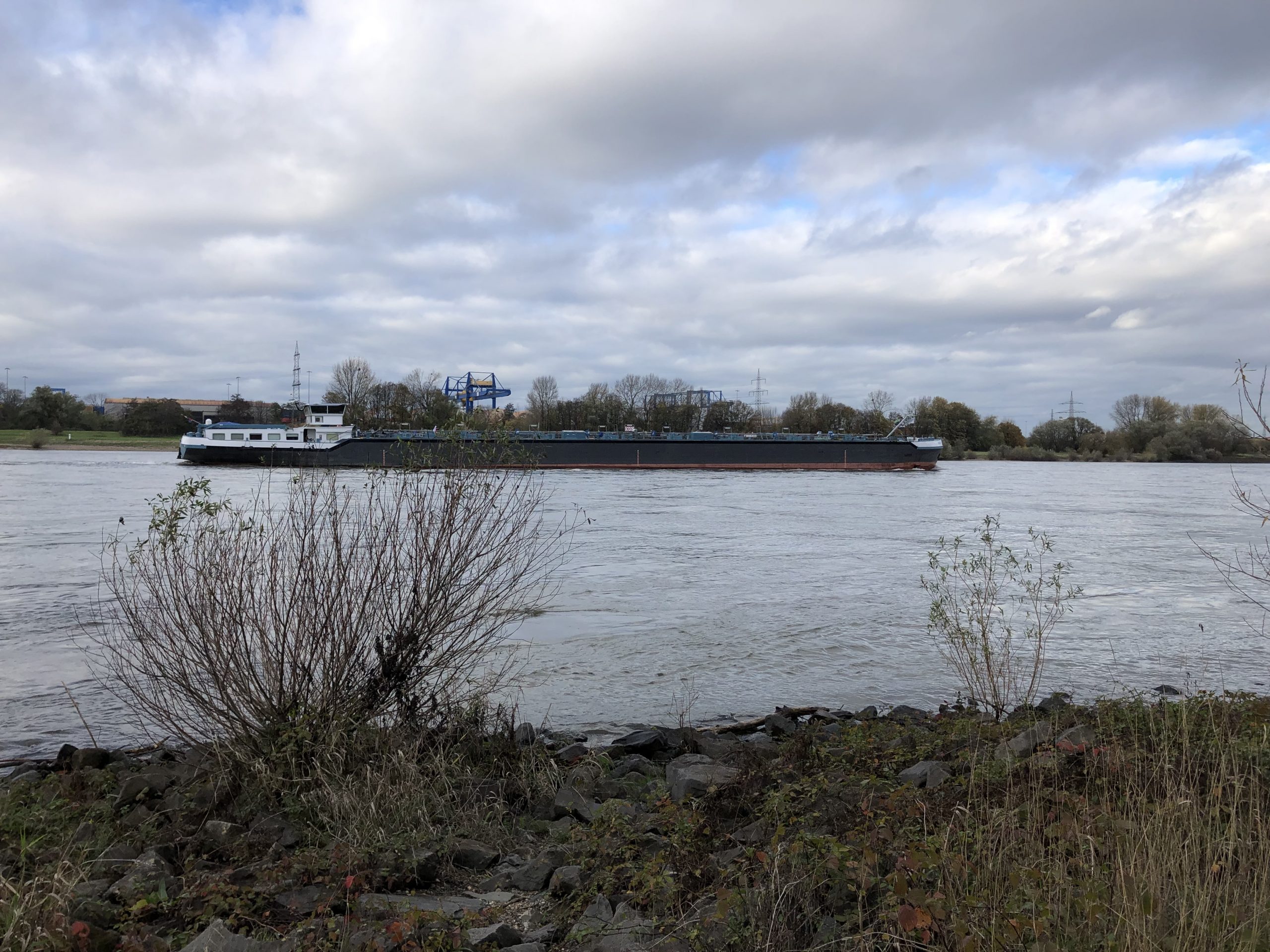 Rheinufer Wanheim: Schiff
