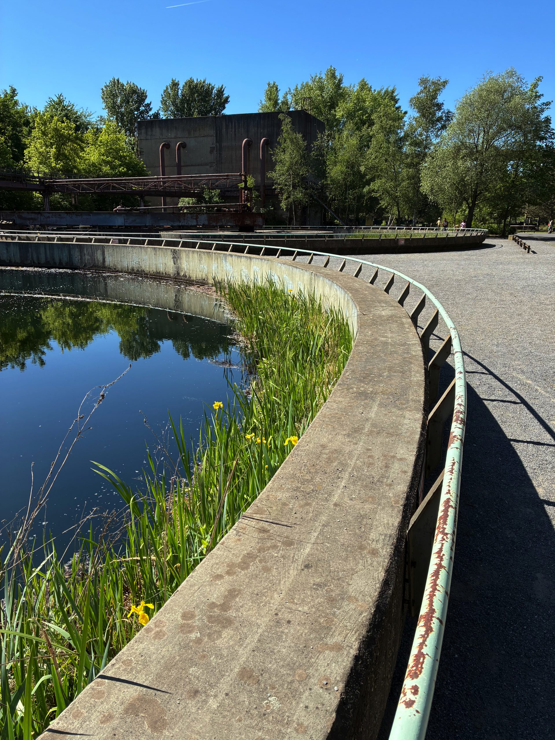 Klärbecken im Landschaftspark