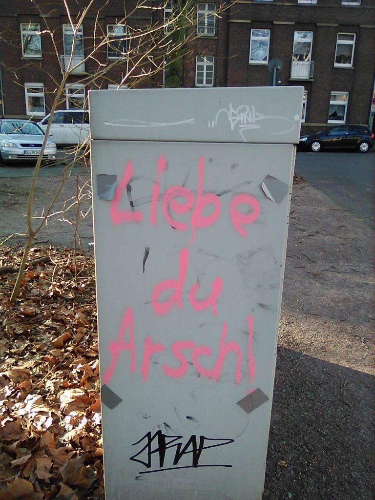 Auf einem grauen Kasten steht in pinker Schrift „Liebe du Arsch!“. Unten ist ein schwarzes Tag angebracht, im Hintergrund sind Häuser und Herbstlaub zu sehen.