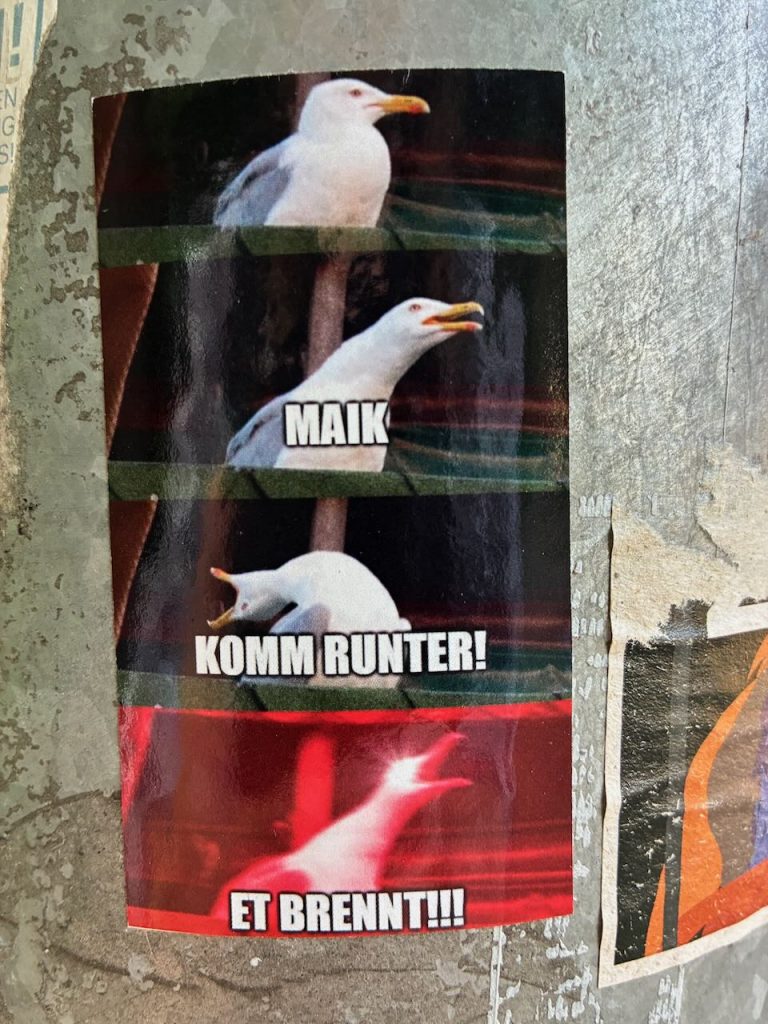 Eine Comic-Sequenz in vier Teilen mit einer Möwe, die in aufgeregten Posen ruft: „MAIK KOMM RUNTER! ET BRENNT!!!“
