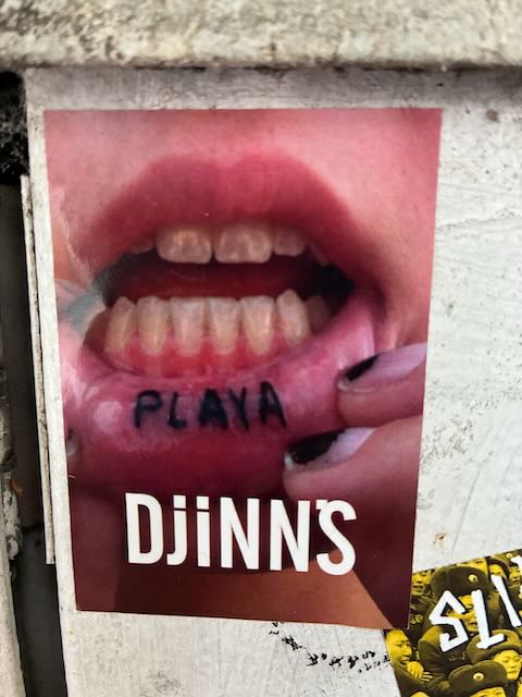 Auf einem roten Aufkleber steht in weißer, serifenloser Großschrift das Wort „DJINNS“. Dahinter ein weiblicher Mund. Finger ziehen die Unterlippe nach unten. Auf der Unterlippe steht „PLAYA“.